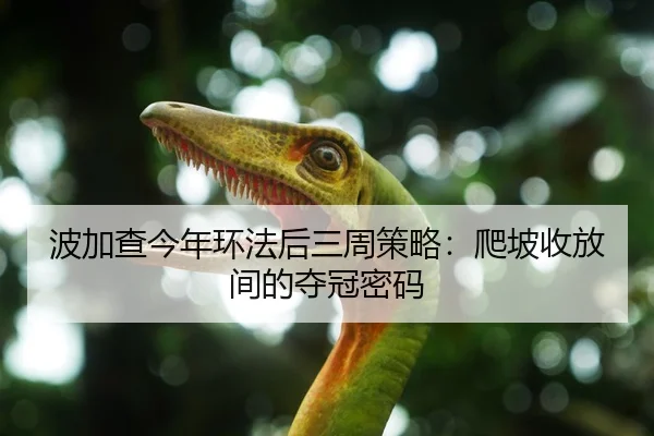 波加查今年环法后三周策略：爬坡收放间的夺冠密码