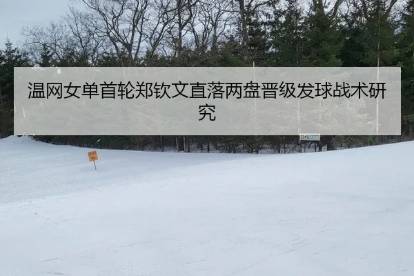 wen-wang-nv-dan-shou-lun-zheng-qin-wen-zhi-luo-liang-pan-jin-ji-fa-qiu-zhan-shu-yan-jiu-2-593.jpg