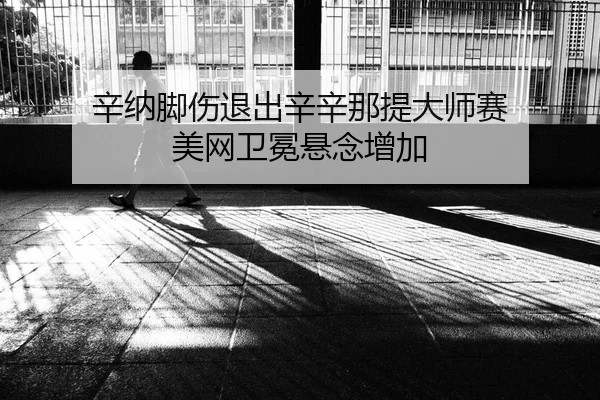 辛纳脚伤退出辛辛那提大师赛 美网卫冕悬念增加